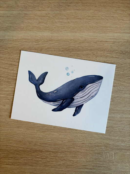 Card Whale